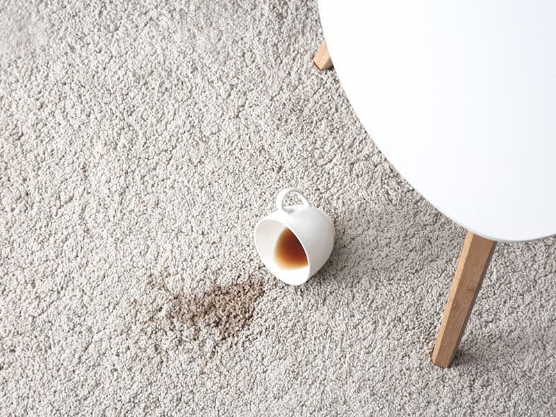 Cup Coffee Spilled on Carpet