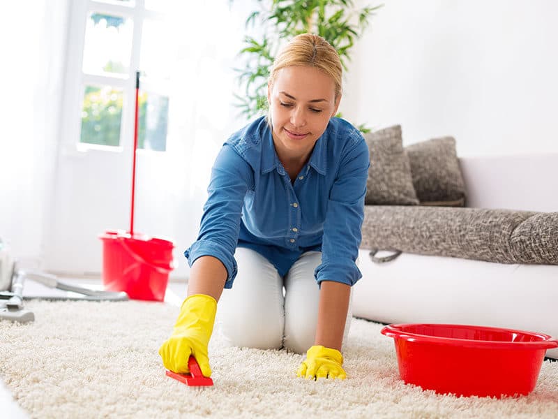 Housewife Cleaning Carpet
