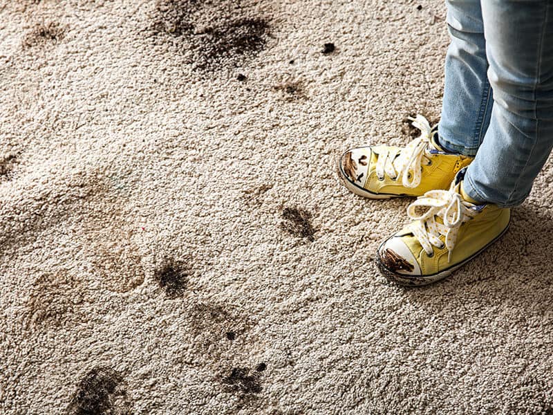 Muddy Shoes Carpet