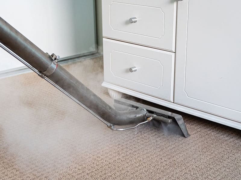 Steam Carpet Cleaning