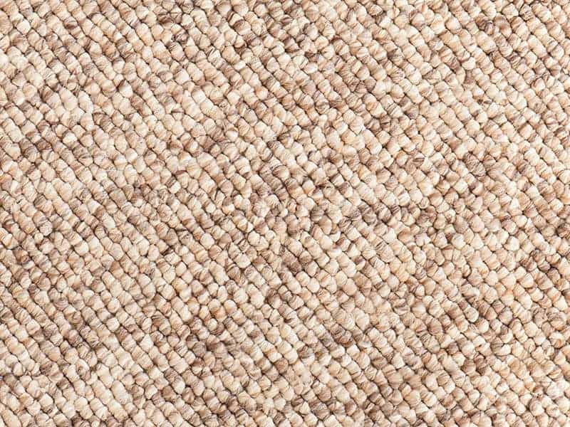 Beige Brown Carpet