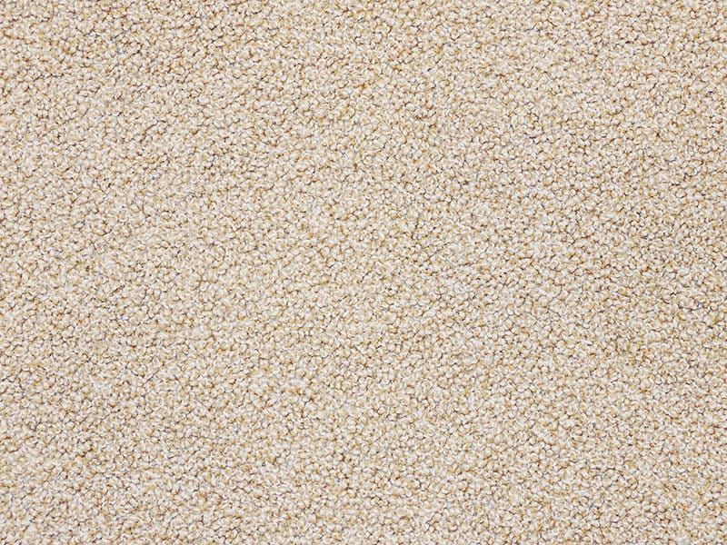 Carpet Texture