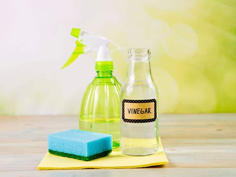 Chemical Free Cleaner