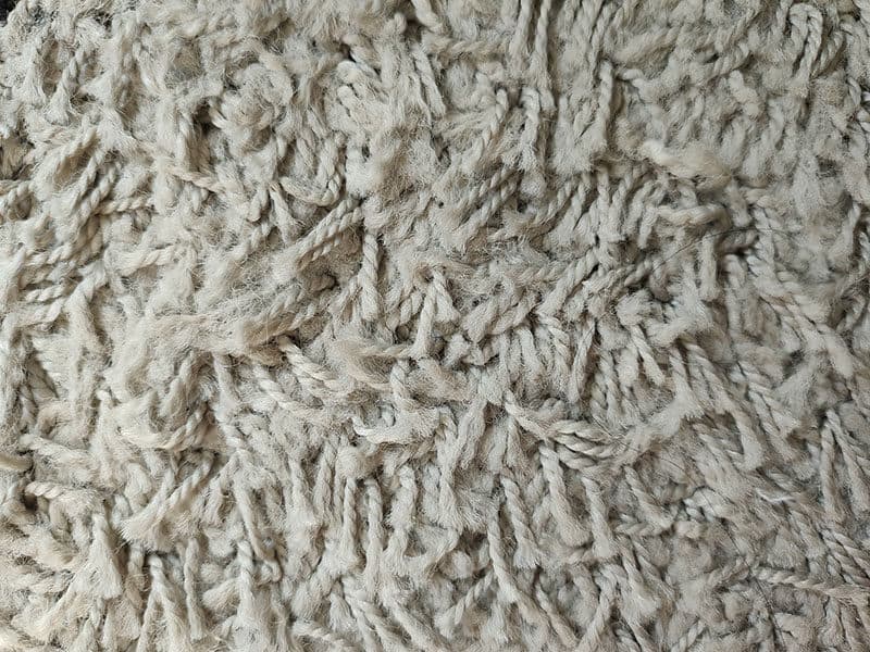 Cut Pile Carpet