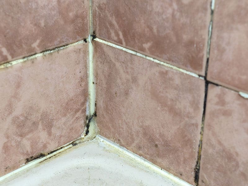 Dirty Grout