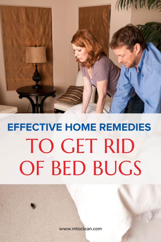 Home Remedies To Get Rid Of Bed Bugs