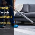 How To Dry Wet Carpet