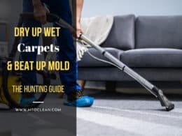 How To Dry Wet Carpet