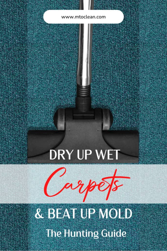 How To Dry Wet Carpet