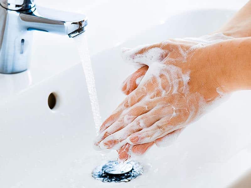 Use Soap Washing Hand