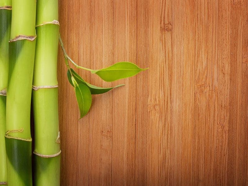 Bamboo Floor