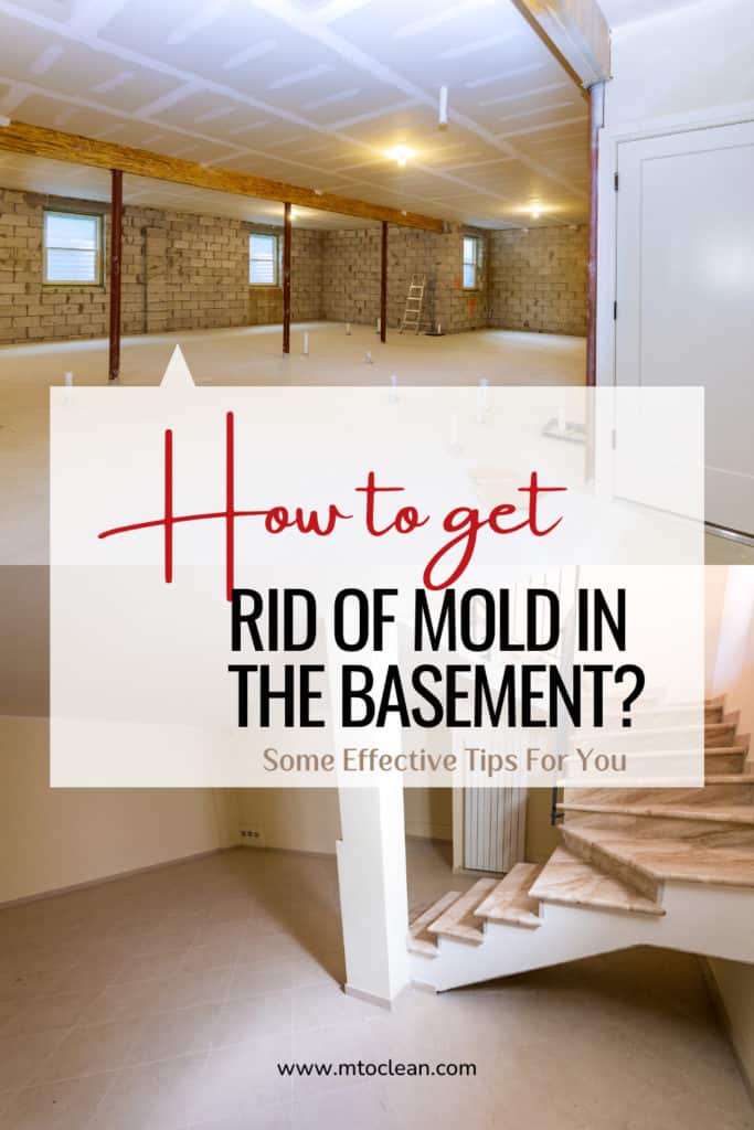 How To Get Rid Of Mold In The Basement