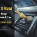 How To Remove Bugs From A Car