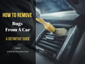 How To Remove Bugs From A Car