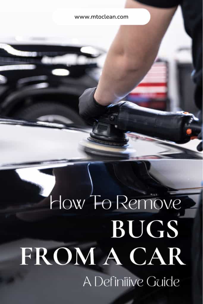 How To Remove Bugs From A Car