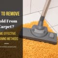 How to Remove Mold From Carpet