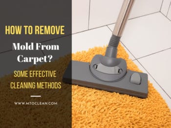 How to Remove Mold From Carpet