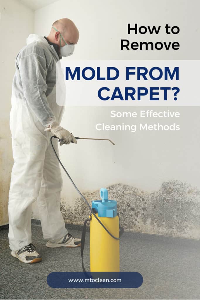 How To Remove Mold From Carpet