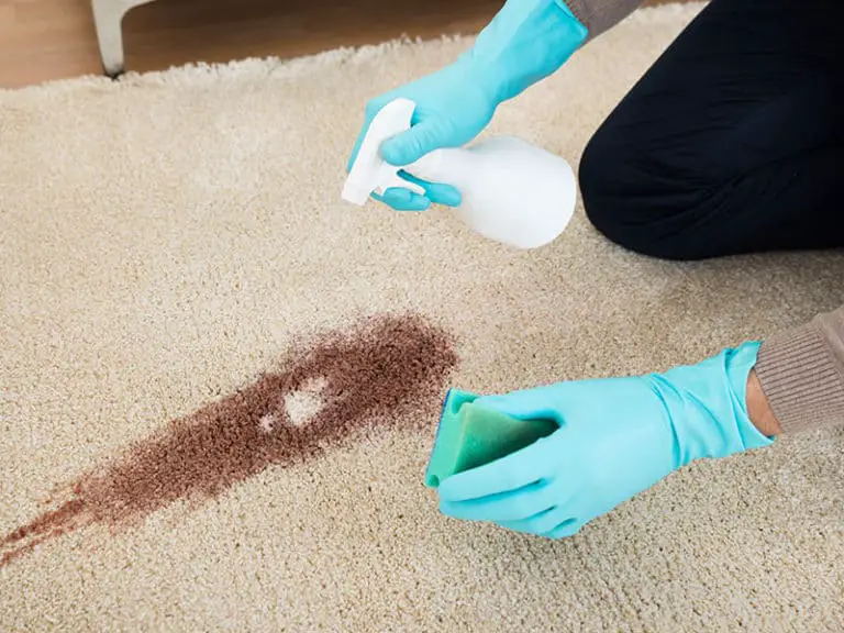 How To Clean Carpet With Baking Soda The Ultimate Guide 2023