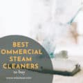 Best Commercial Steam Cleaners